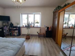 Prodej rodinného domu, Brandýs nad Labem-Stará Boleslav, V zátiší, 175 m2