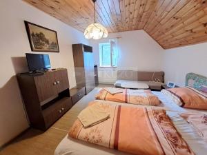 Prodej vícegeneračního domu, Zbytiny - Blažejovice, 453 m2