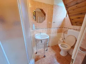 Prodej vícegeneračního domu, Zbytiny - Blažejovice, 453 m2