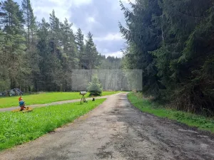 Prodej vícegeneračního domu, Zbytiny - Blažejovice, 453 m2