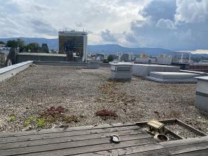 Prodej bytu 3+kk, Liberec, Lípová, 79 m2