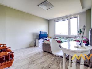 Pronájem bytu 1+1, Hradec Králové - Moravské Předměstí, Štefánikova, 38 m2