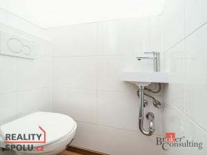 Pronájem bytu 2+kk, Praha - Žižkov, Baranova, 41 m2