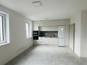 Pronájem bytu 1+kk, Olomouc, Za Kolejemi, 30 m2