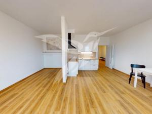 Pronájem bytu 1+kk, Plzeň, Františka Kováříka, 44 m2