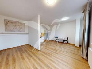 Pronájem bytu 1+kk, Plzeň, Františka Kováříka, 44 m2