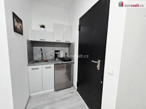Pronájem bytu 1+kk, Lužná, Nová, 17 m2
