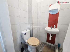 Pronájem bytu 1+kk, Lužná, Nová, 17 m2