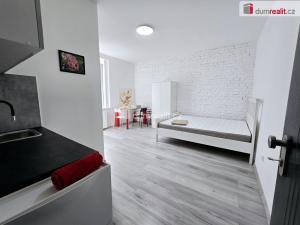 Pronájem bytu 1+kk, Lužná, Nová, 17 m2