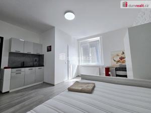 Pronájem bytu 1+kk, Lužná, Nová, 17 m2