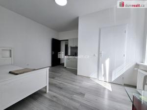 Pronájem bytu 1+kk, Lužná, Nová, 17 m2