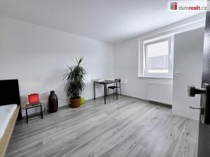 Pronájem bytu 1+kk, Lužná, Nová, 17 m2
