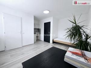 Pronájem bytu 1+kk, Lužná, Nová, 17 m2