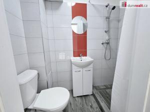 Pronájem bytu 1+kk, Lužná, Nová, 17 m2
