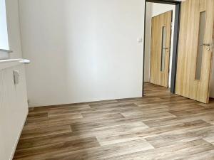Pronájem bytu 1+kk, Dolní Poustevna, Vilémovská, 44 m2