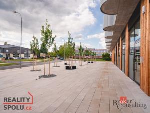 Pronájem bytu 4+kk, Plzeň, U Borského parku, 118 m2