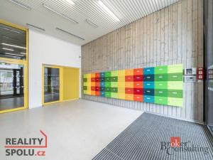 Pronájem bytu 4+kk, Plzeň, U Borského parku, 118 m2