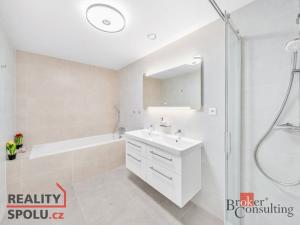 Pronájem bytu 4+kk, Plzeň, U Borského parku, 118 m2