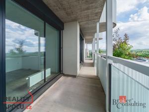 Pronájem bytu 4+kk, Plzeň, U Borského parku, 118 m2