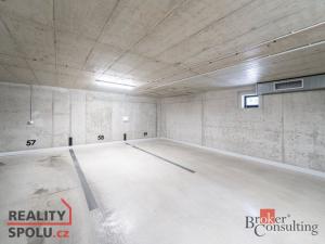 Pronájem bytu 4+kk, Plzeň, U Borského parku, 118 m2