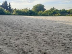 Prodej zemědělského objektu, Chlumín, 916 m2