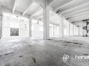 Prodej skladu, Olomouc, U cukrovaru, 532 m2