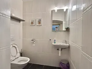Prodej zemědělské usedlosti, Šonov, 800 m2