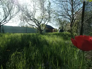 Prodej zahrady, Šumice, 781 m2