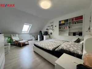 Prodej ubytování, Olomouc - Nové Sady, Rooseveltova, 349 m2