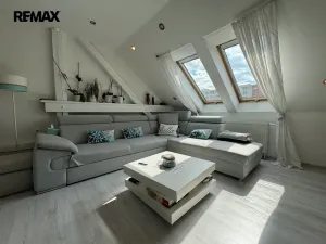 Prodej ubytování, Olomouc - Nové Sady, Rooseveltova, 349 m2