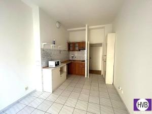 Pronájem bytu 1+1, Praha, Anglická, 44 m2