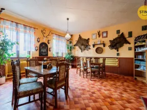 Prodej komerční nemovitosti, Horní Město - Rešov, 600 m2