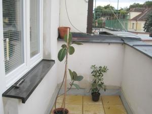 Pronájem bytu 2+kk, Brno, Pellicova, 32 m2