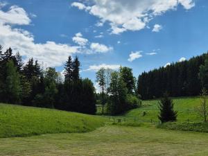 Prodej rodinného domu, Police nad Metují - Pěkov, 120 m2