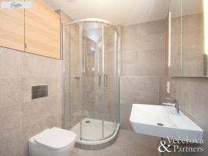 Pronájem bytu 2+kk, Praha - Žižkov, Rixdorfská, 55 m2
