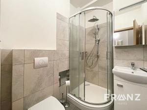 Pronájem bytu 1+1, Ostrava, Březinova, 41 m2