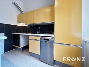 Pronájem bytu 1+1, Ostrava, Březinova, 41 m2