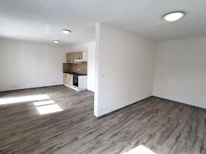 Pronájem bytu 1+kk, Plzeň, Železniční, 43 m2