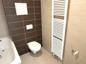 Pronájem bytu 1+kk, Plzeň, Železniční, 43 m2