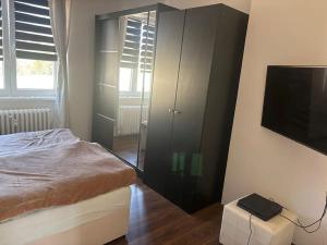 Prodej bytu 3+1, Karlovy Vary, Vítězná, 66 m2