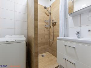 Pronájem bytu 2+1, Olomouc, Dělnická, 53 m2