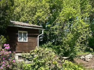 Prodej zahrady, Zábřeh, 601 m2