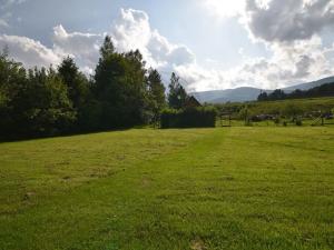 Prodej bytu 3+1, Bělá pod Pradědem, 74 m2