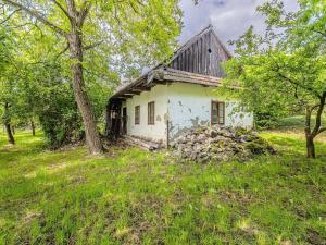 Prodej chalupy, Dzbel, 243 m2