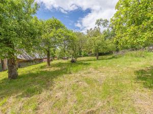 Prodej chalupy, Dzbel, 243 m2