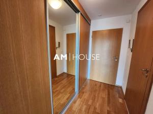 Pronájem bytu 1+kk, Praha - Žižkov, Pitterova, 44 m2