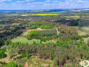 Prodej lesa, Jetětice, 79500 m2