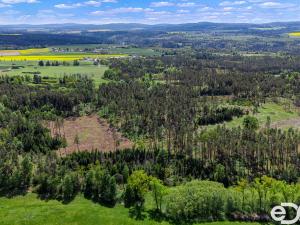 Prodej lesa, Jetětice, 79500 m2