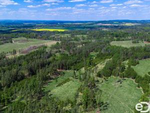 Prodej lesa, Jetětice, 79500 m2