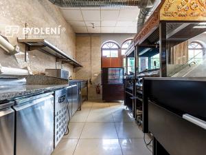 Pronájem restaurace, Teplice, U Nových lázní, 541 m2